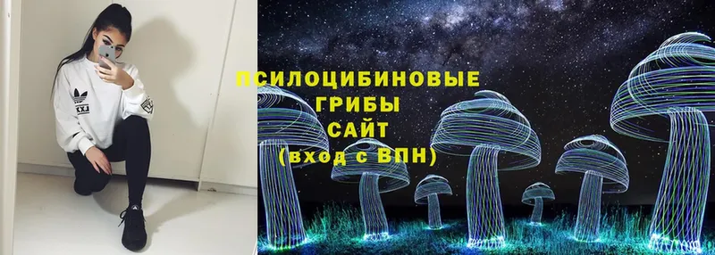 Псилоцибиновые грибы MAGIC MUSHROOMS  Дмитриев 